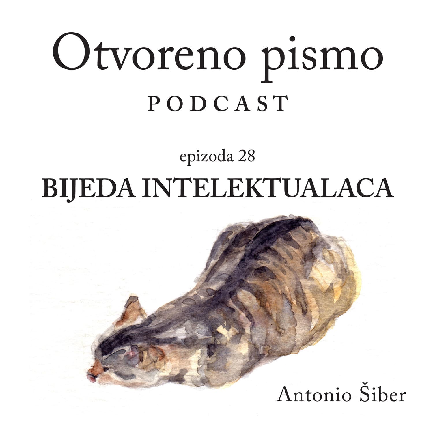 Bijeda intelektualaca