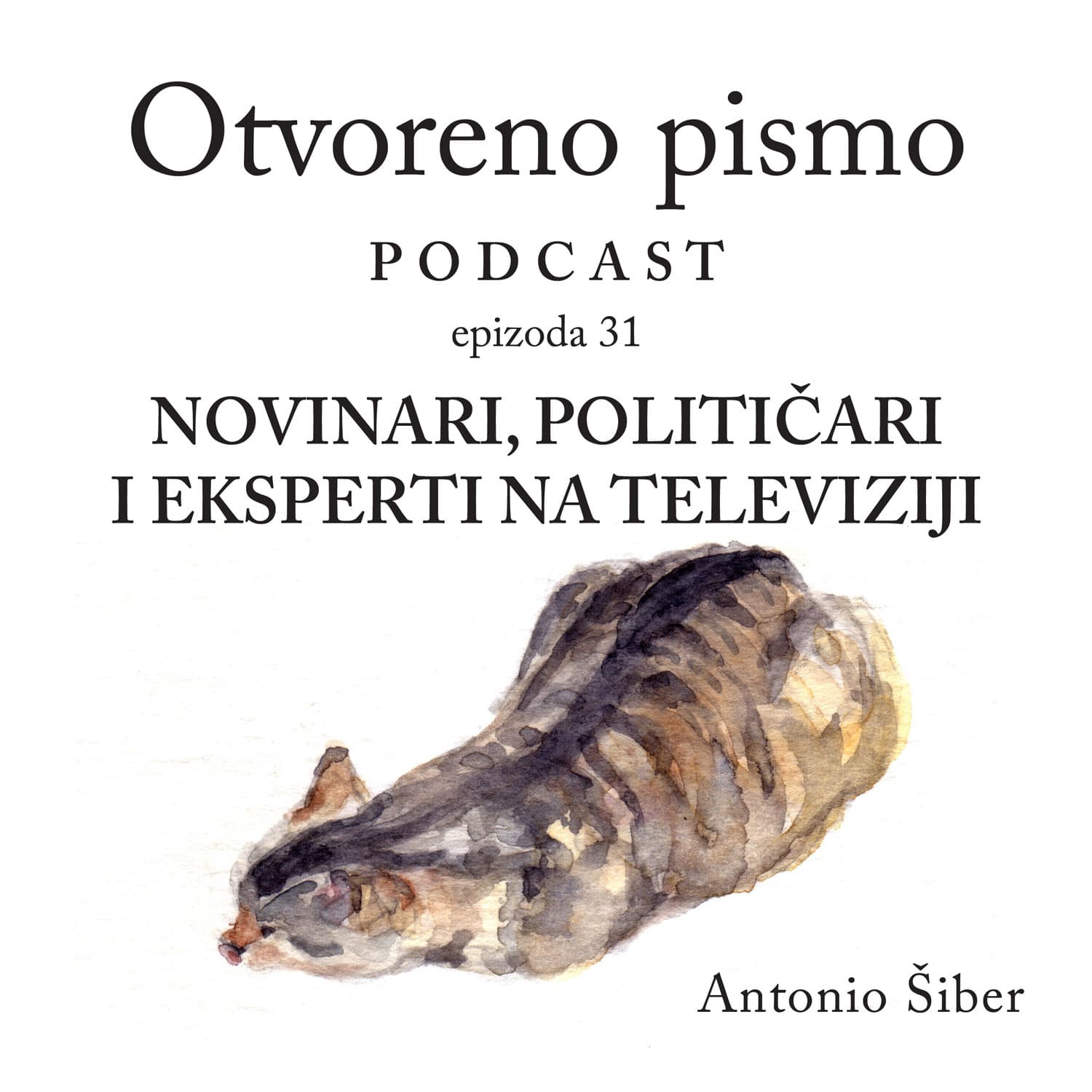 Novinari, političari i eksperti na televiziji