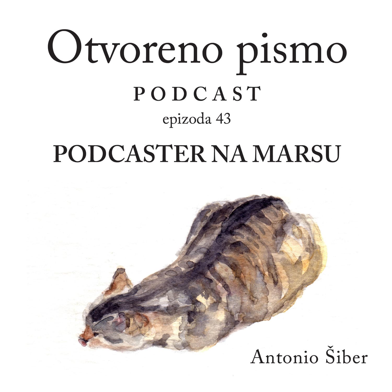 Podcaster na Marsu