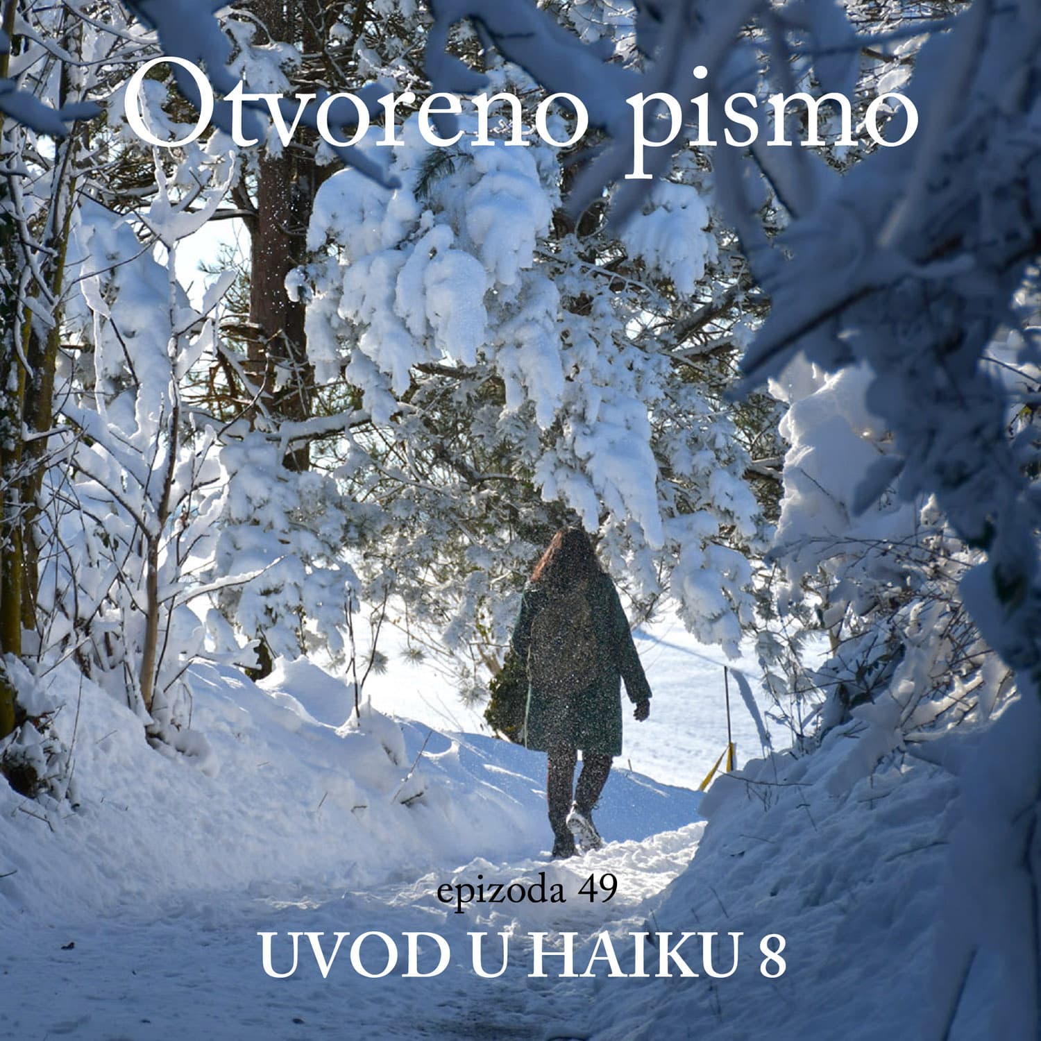 Uvod u haiku 8