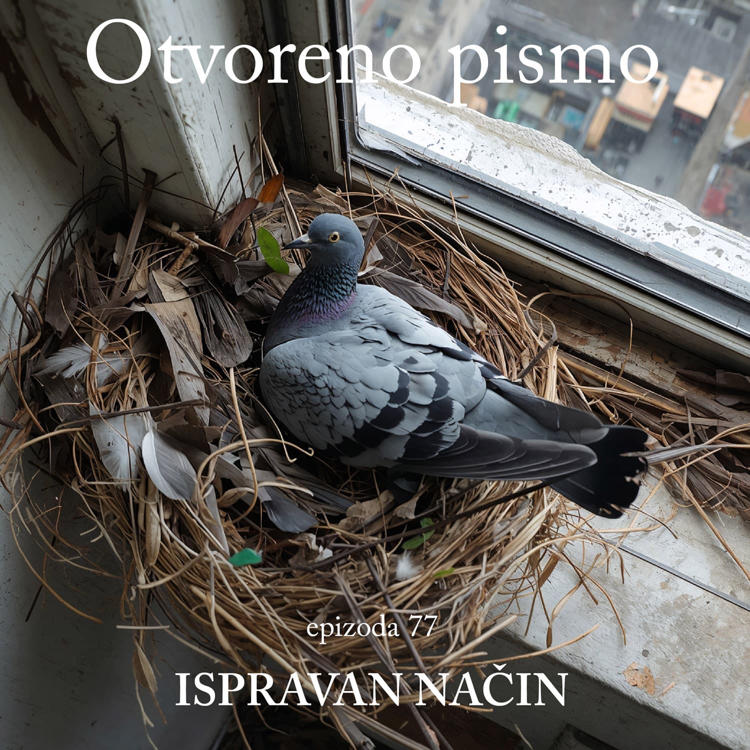 Ispravan način