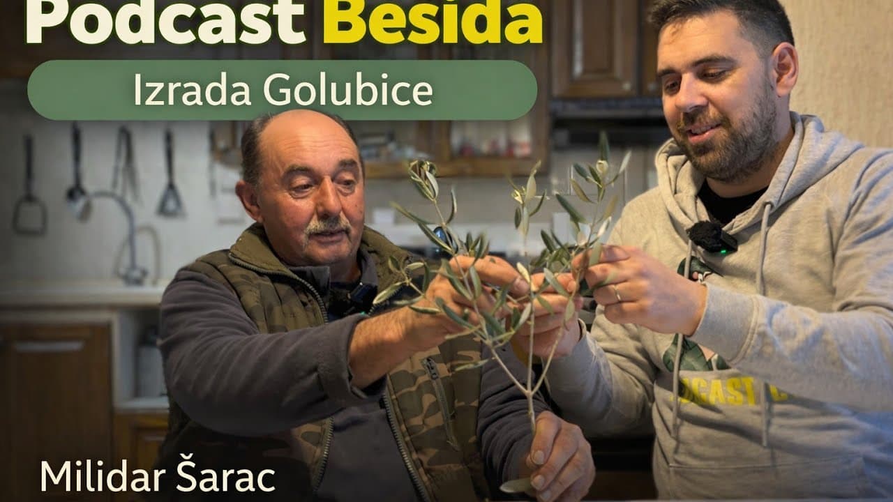 Podcast Besida #52 / Milidar Šarac / Izrada "Golubice"