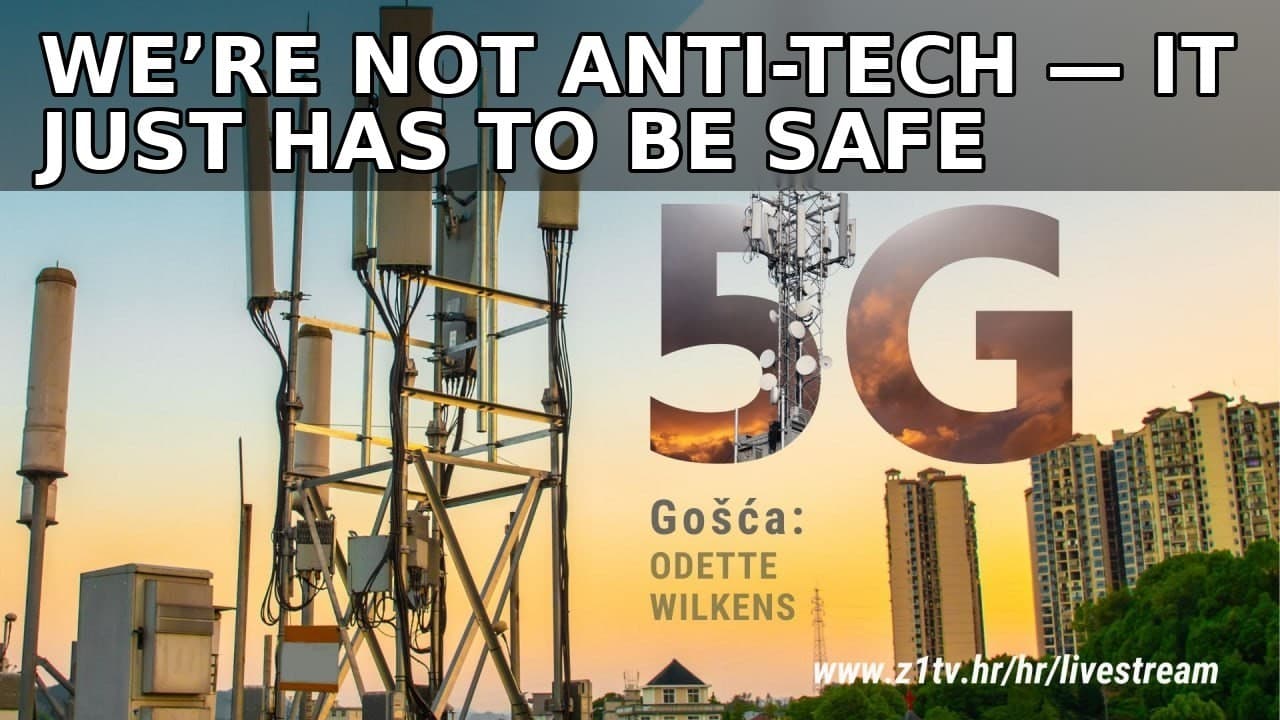“We’re Not Anti-Tech — It Just Has to Be Safe” + Croatia Tower Examples | Odette Wilkens
