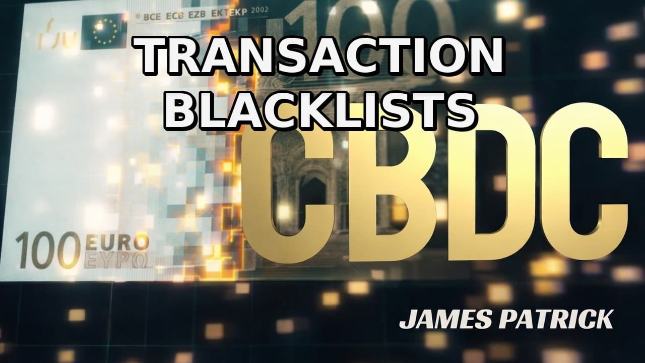 Programmable Money: Blacklists, Carbon Tracking — and Total Transaction Control?