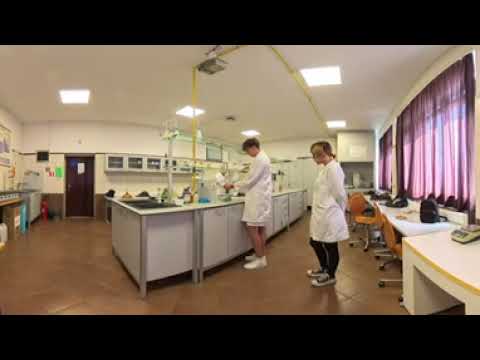Laboratory Technician – 360° Job Preview for Autism Career Exploration