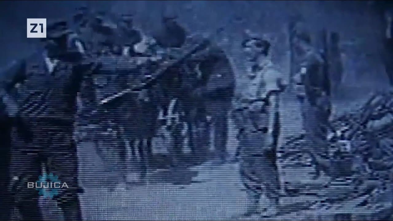 BUJICA 15.07.2020. TITOV GENERAL PRIZNAO: Četnici i partizani zajedno protiv Hrvata! GOST: R. LELJAK