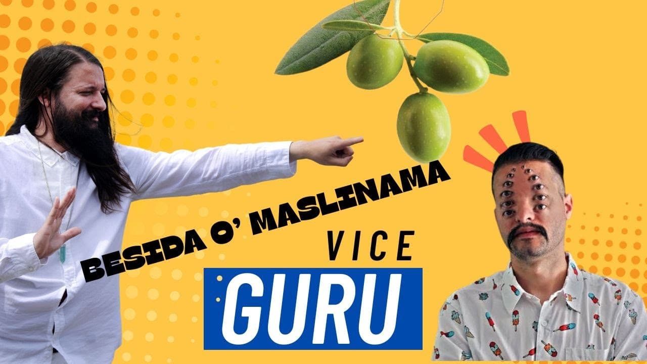 Vice Guru projekt