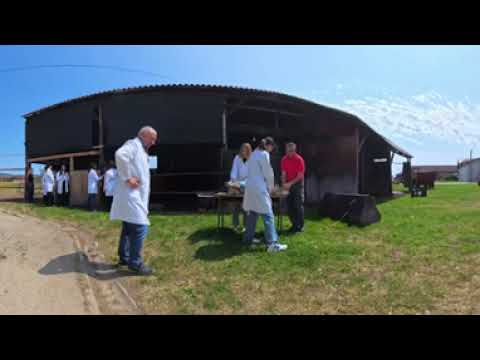 Veterinary Technician – 360° Job Preview for Autism Career Exploration
