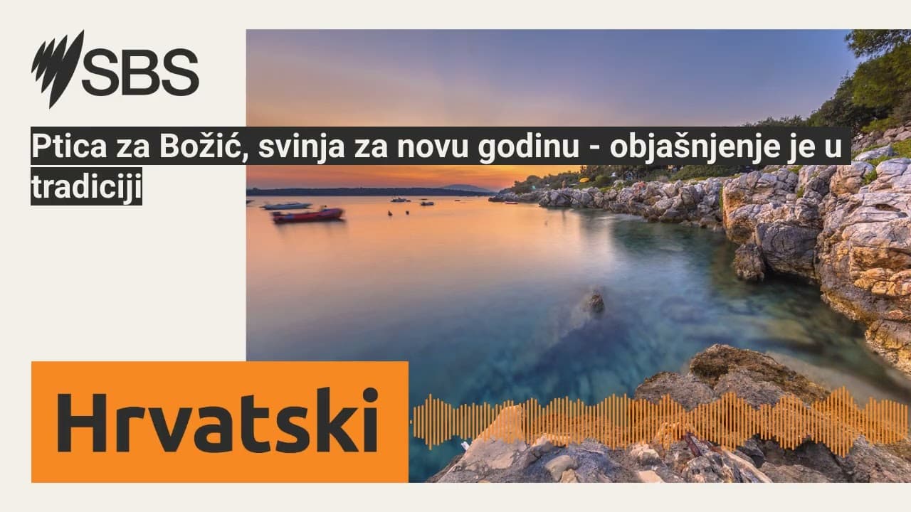 Ptica za Božić, svinja za novu godinu - objašnjenje je u tradiciji | SBS Croatian - SBS na hrvatskom