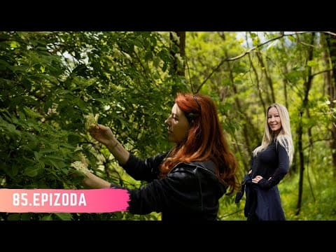 NAJBOLJE IZ PRIRODE - SAMONIKLO JESTIVO BILJE