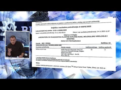 BUJICA 29.11.2023. VETERINAR BEDEKOVIĆ IZNIO DOKAZE: Ubijaju zdrave svinje temeljem lažnih nalaza?!