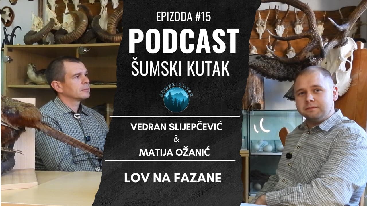 Podcast Šumski kutak---- Lov na Fazane (Vedran Slijepčević)
