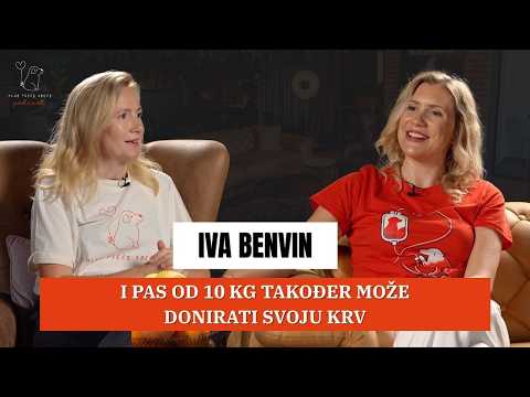 Iva Benvin: Transfuzija je uvijek hitna, zato smo osnovali Banku krvi za pse | KPS Podcast EP. 28
