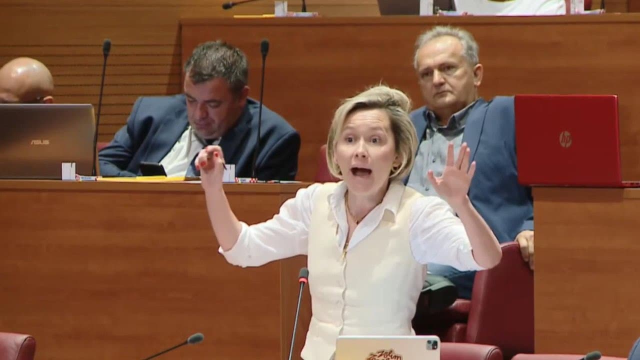 ŽESTOK OBRAČUN MINSTRA ANUŠIĆA SA ZASTUPNICAMA "MOŽEMO" OKO ZAKONA O OBRANI