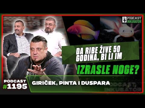 Podcast Inkubator #1195 - Ratko, Giriček, Pinta i Duspara