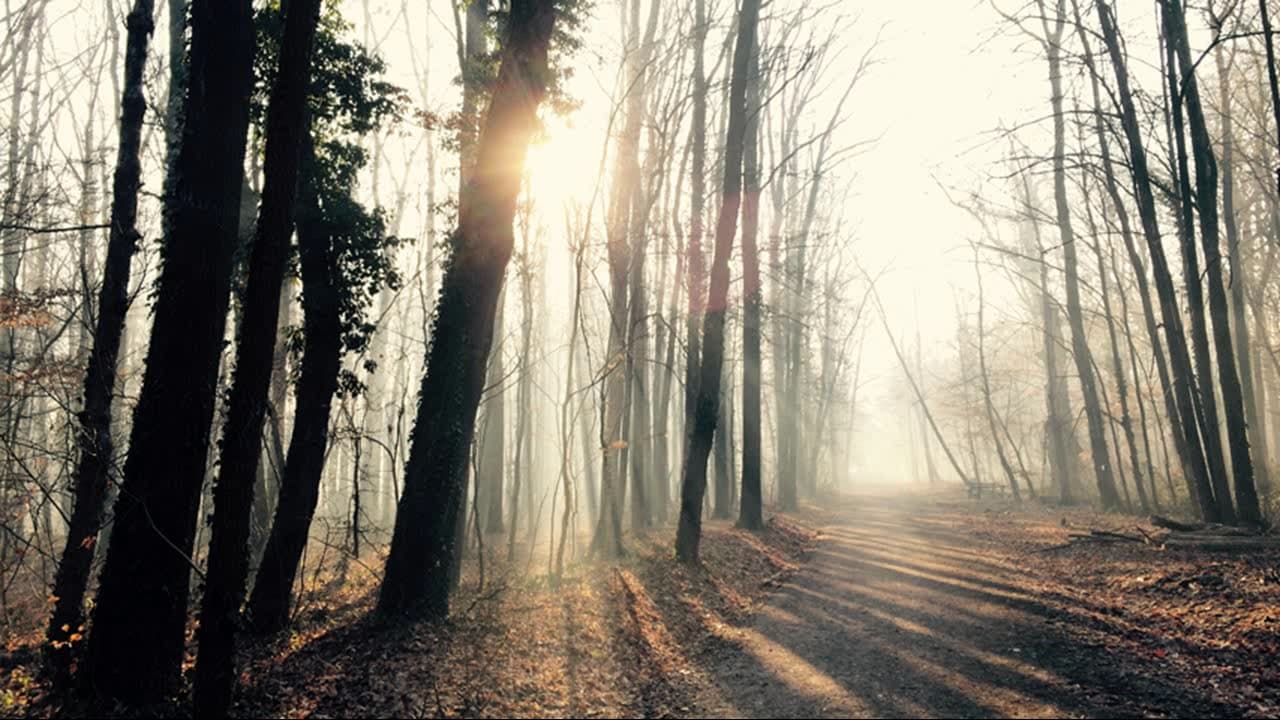 O očekivanjima