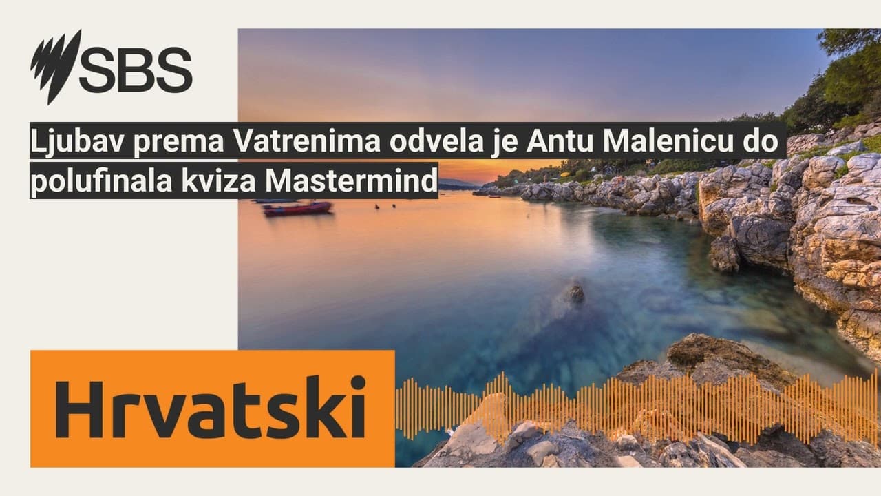 Ljubav prema Vatrenima odvela je Antu Malenicu do polufinala kviza Mastermind | SBS Croatian -...