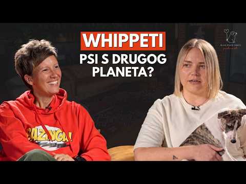Lucija Librić: Mit je da su whippeti plahi i neinteligentni | KPS Podcast EP. 31
