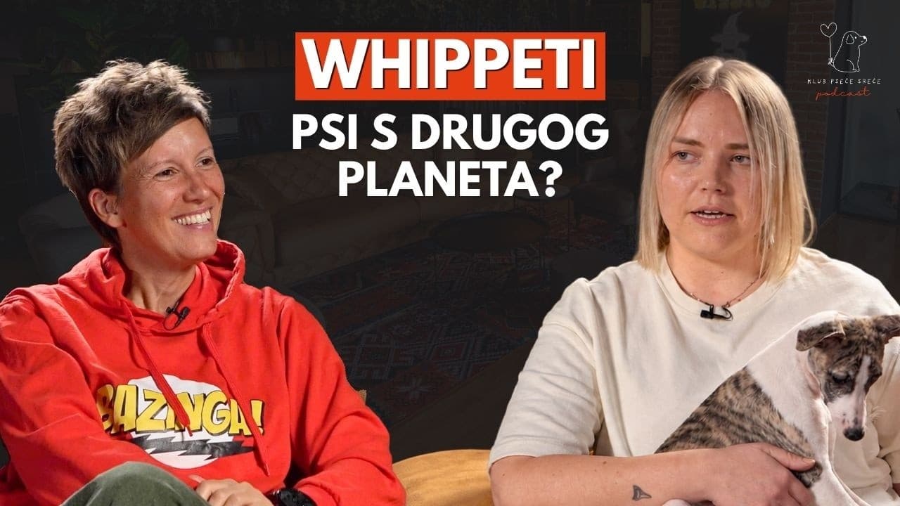Lucija Librić: Mit je da su whippeti plahi i neinteligentni | KPS Podcast EP. 31