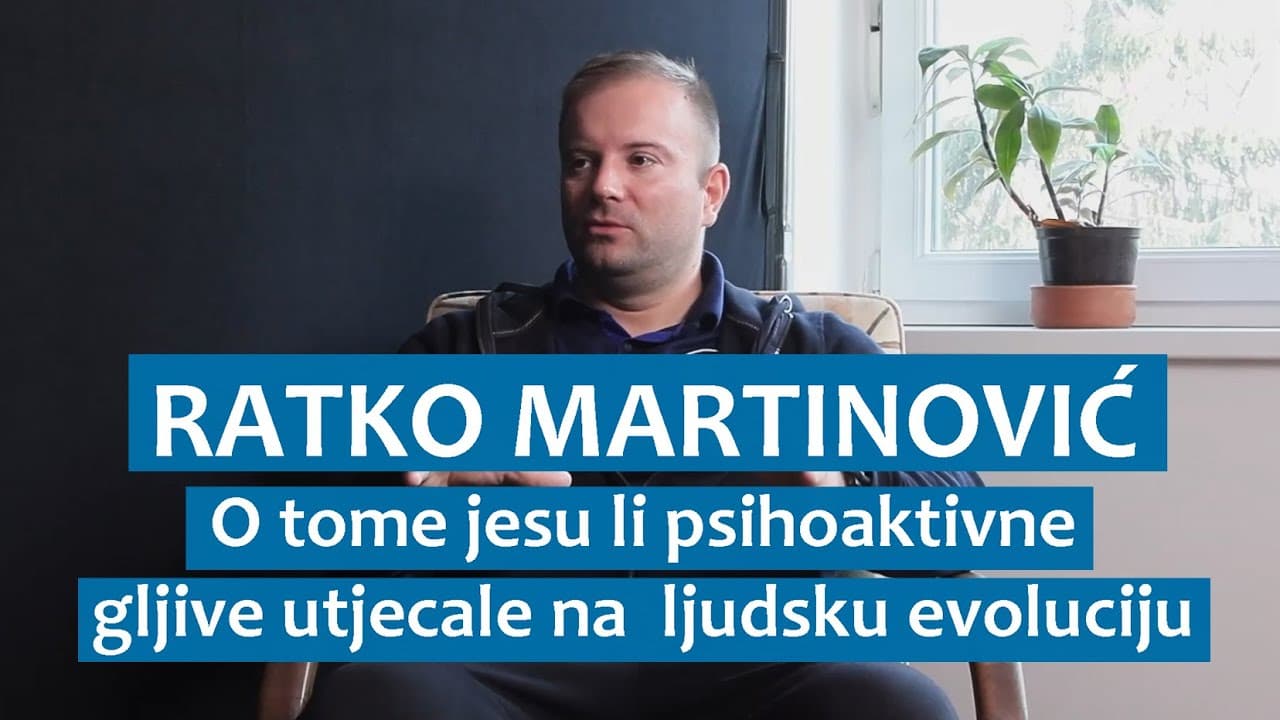 Ratko Martinović o tome jesu li psihoaktivne gljive utjecale na ljudsku evoluciju