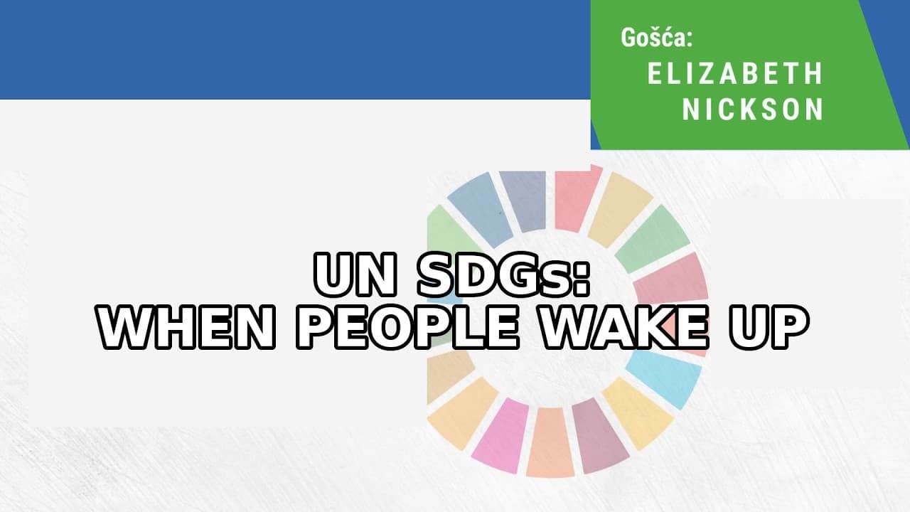 UN SDGs in Local Planning: Nickson Says Pushback Starts When It Hits Home