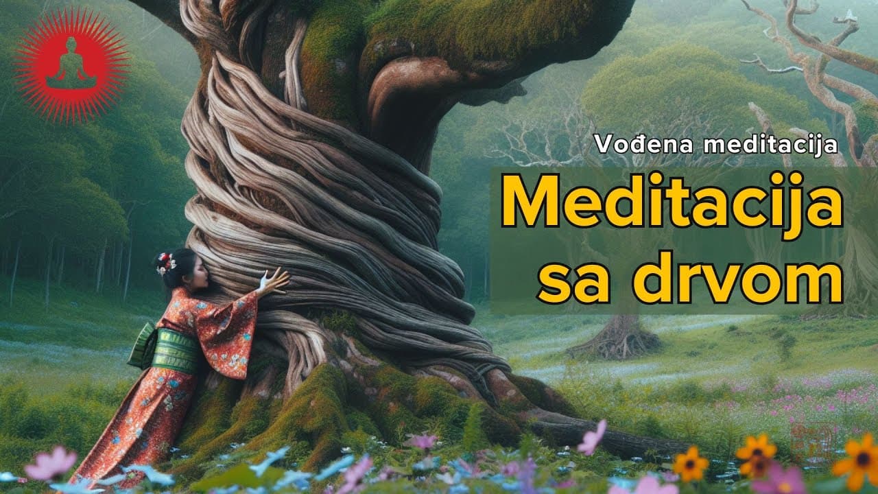 Meditacija: Zagrli Drvo I Poveži se sa Energijom Života