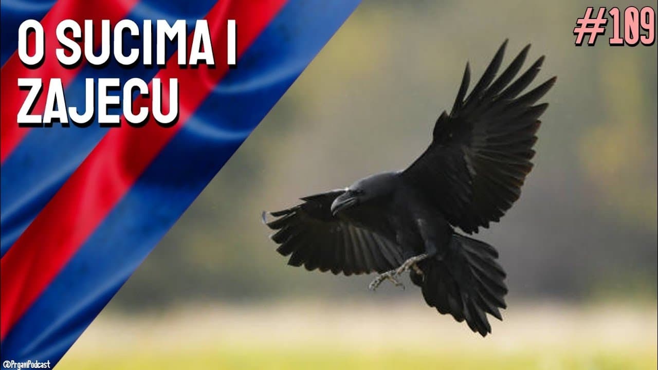 Prgavi podcast #109 - (ne)regularna liga? 🤔