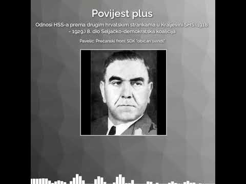 Ante Pavelić: Prečanski front Seljačko-demokratske koalicije "običan švindl" #povijestplus #shorts