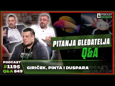 Podcast Inkubator #1195 Q&A 849 - Giriček, Pinta i Duspara