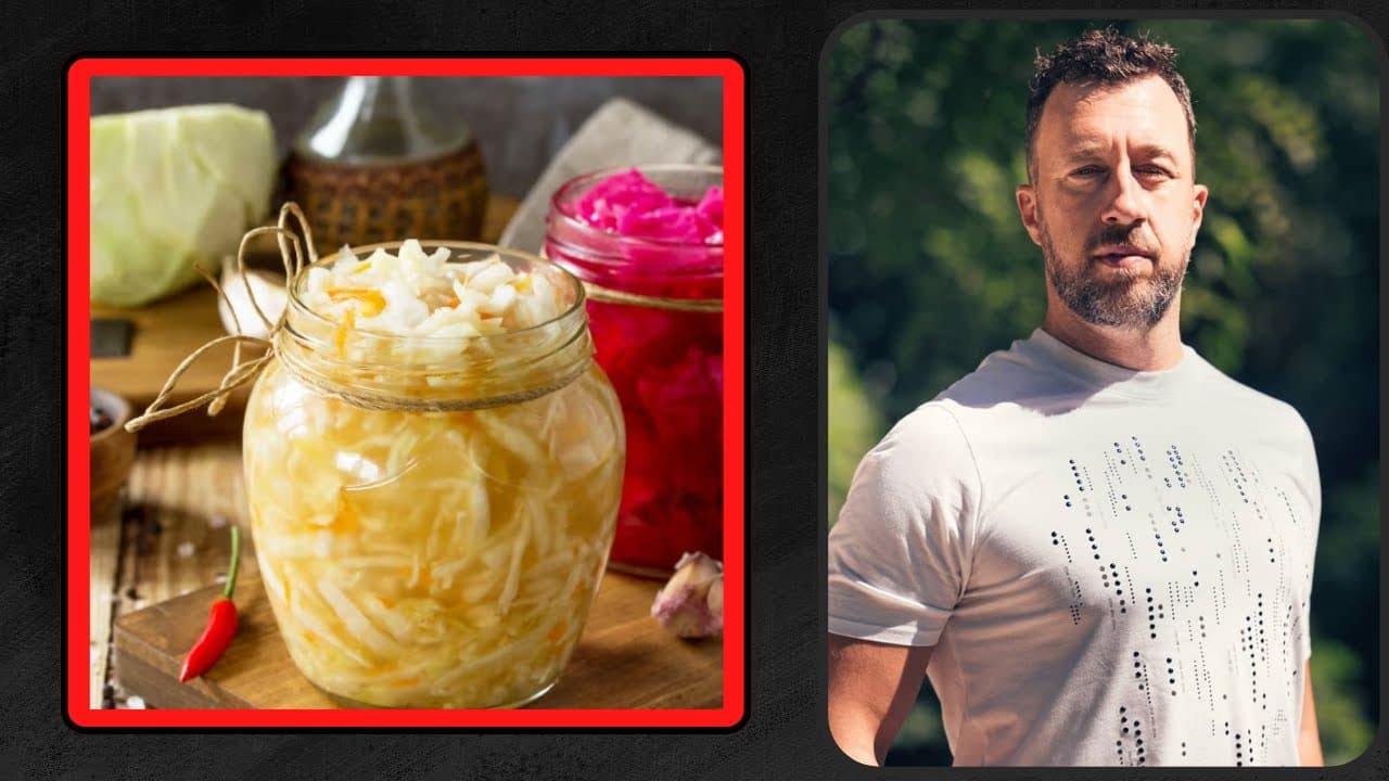 Gut Health i Fermentirana Hrana | SEBASTIJAN ORLIĆ