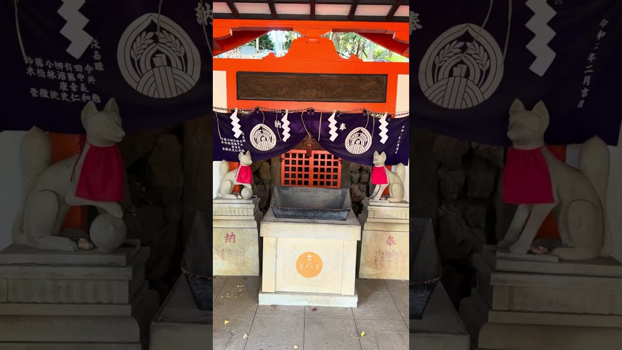 Put japanskih molitva  #japan #tori #nezu #tokyo