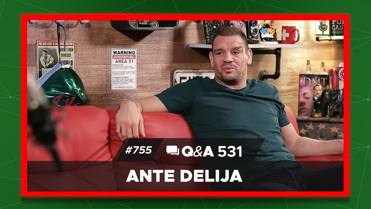 Podcast Inkubator #755 Q&A 531 -  Ante Delija