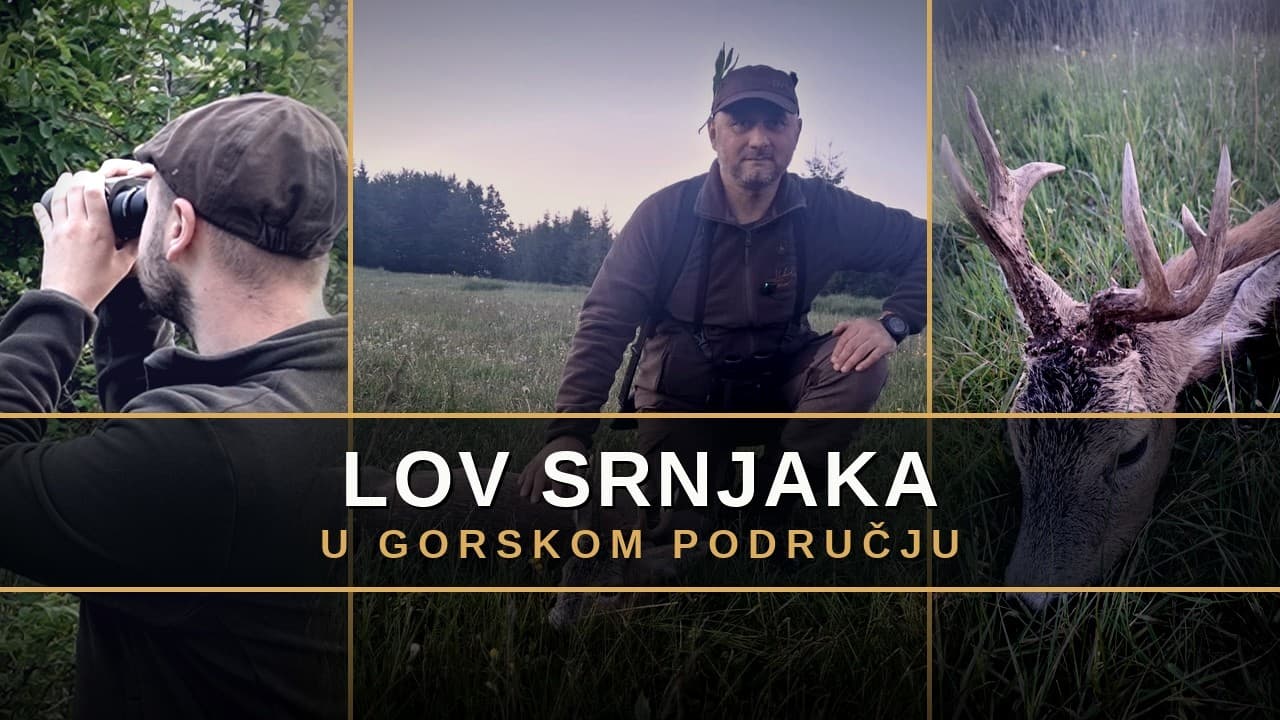 Lov na srnjaka | Odstrel atipičnog srnjaka