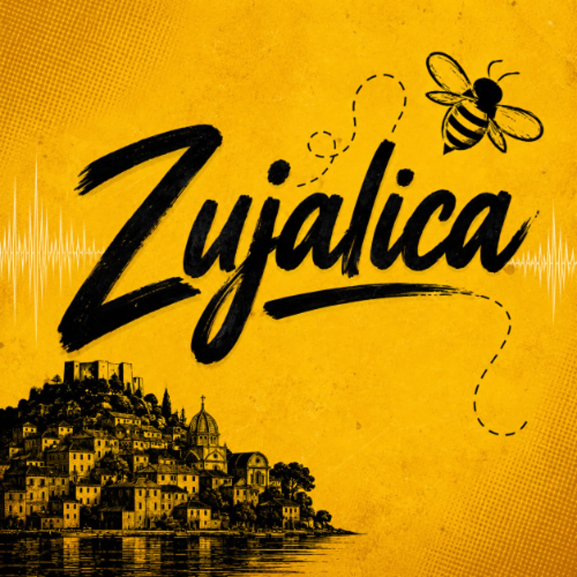 13-06 ZUJALICA 1
