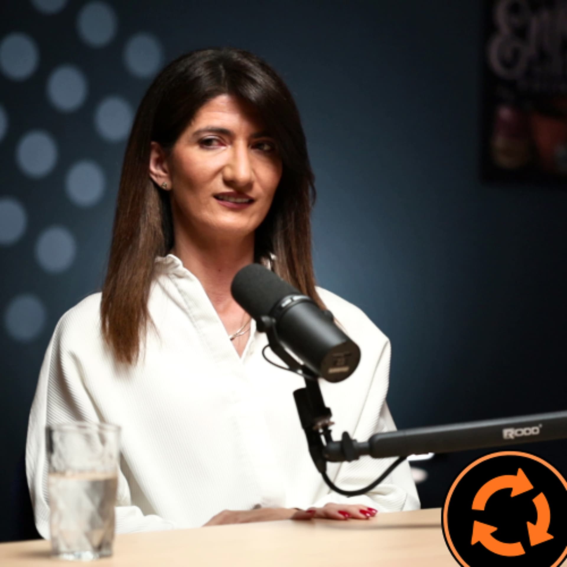 Kružni tok - DARIJANA FILIPOVIĆ