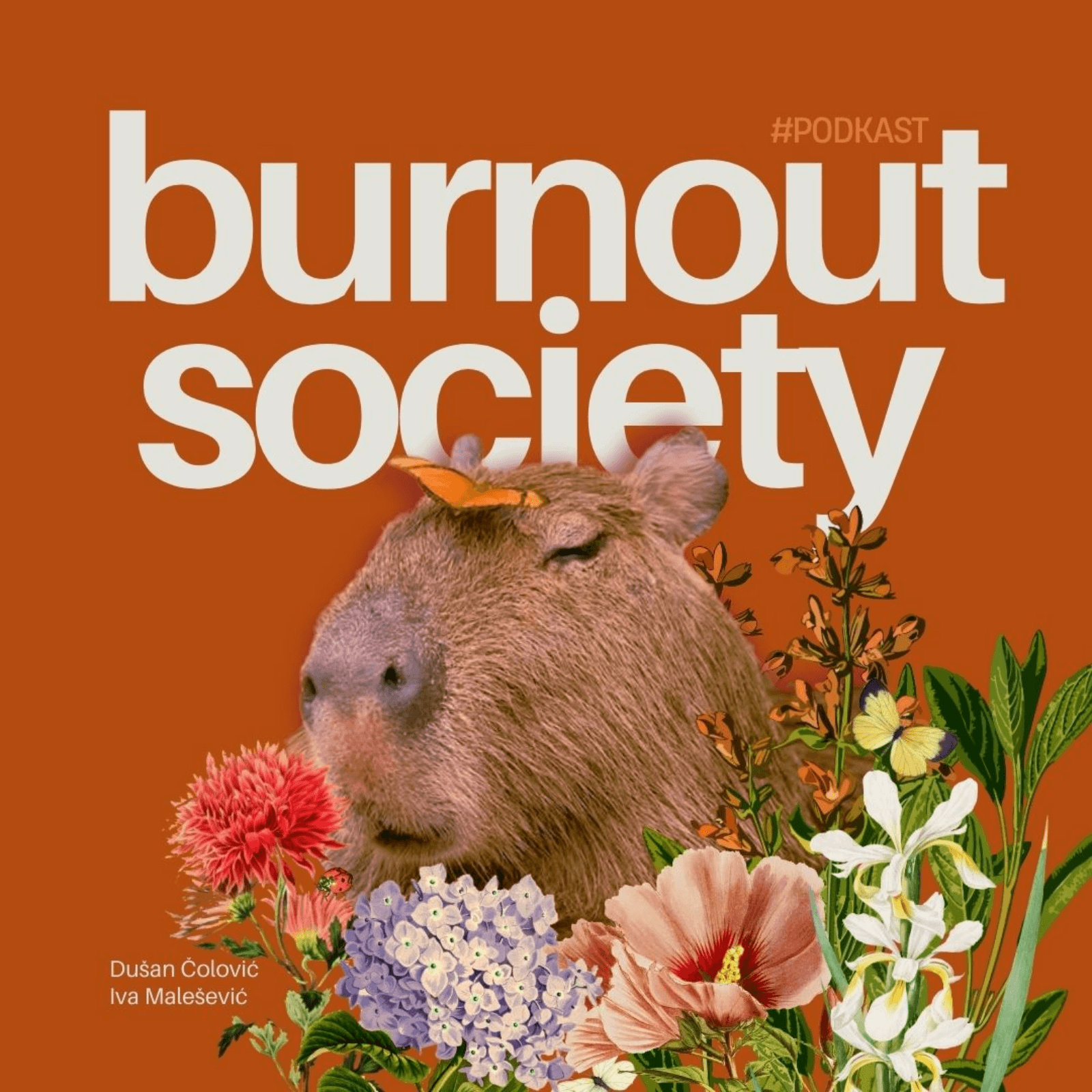 Epizoda 12 - Nasilje u Crnoj Gori, 2025 ft. Jovana Strugar