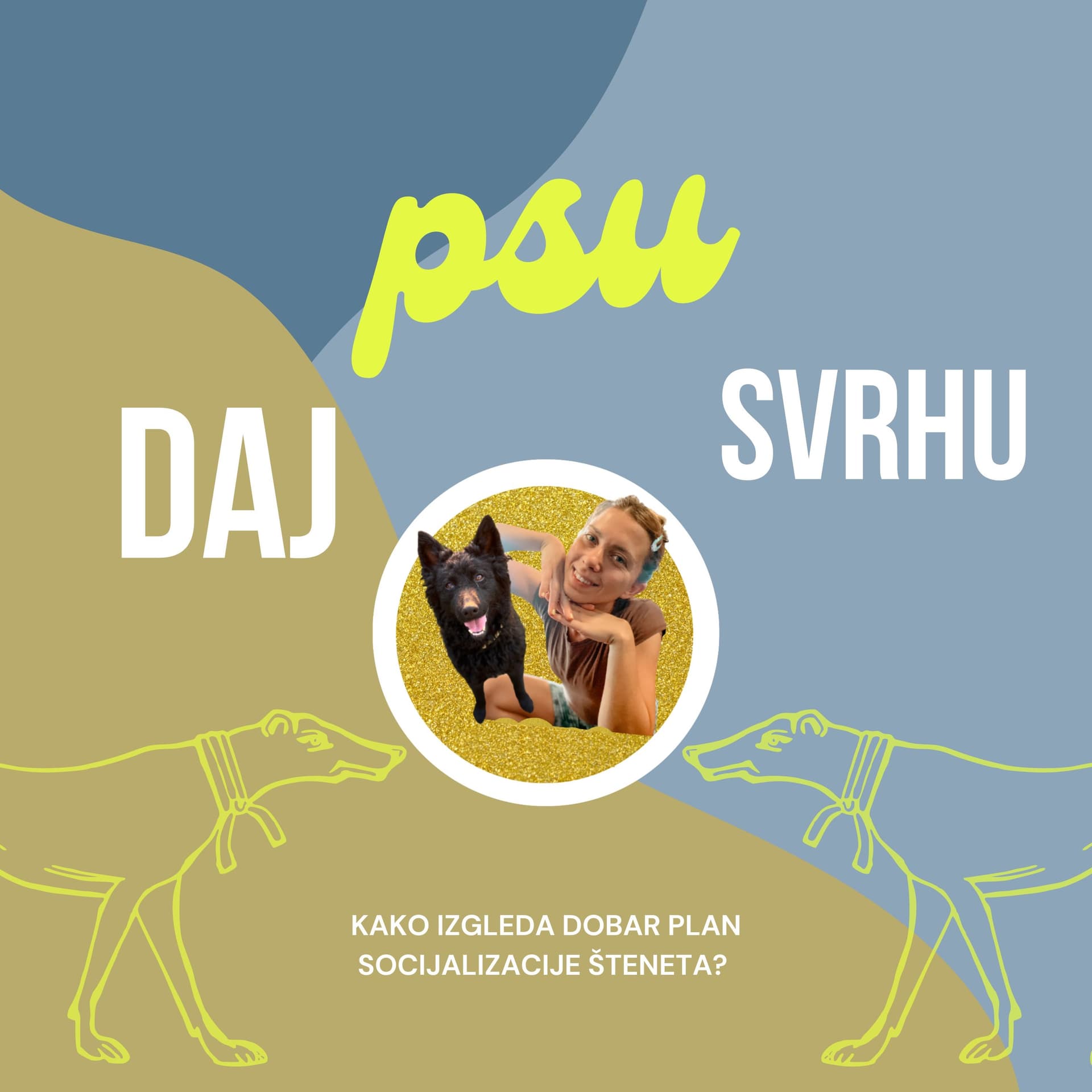 Kako izgleda dobar plan socijalizacije šteneta?