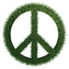 Ima li tu odraslih u sobi?