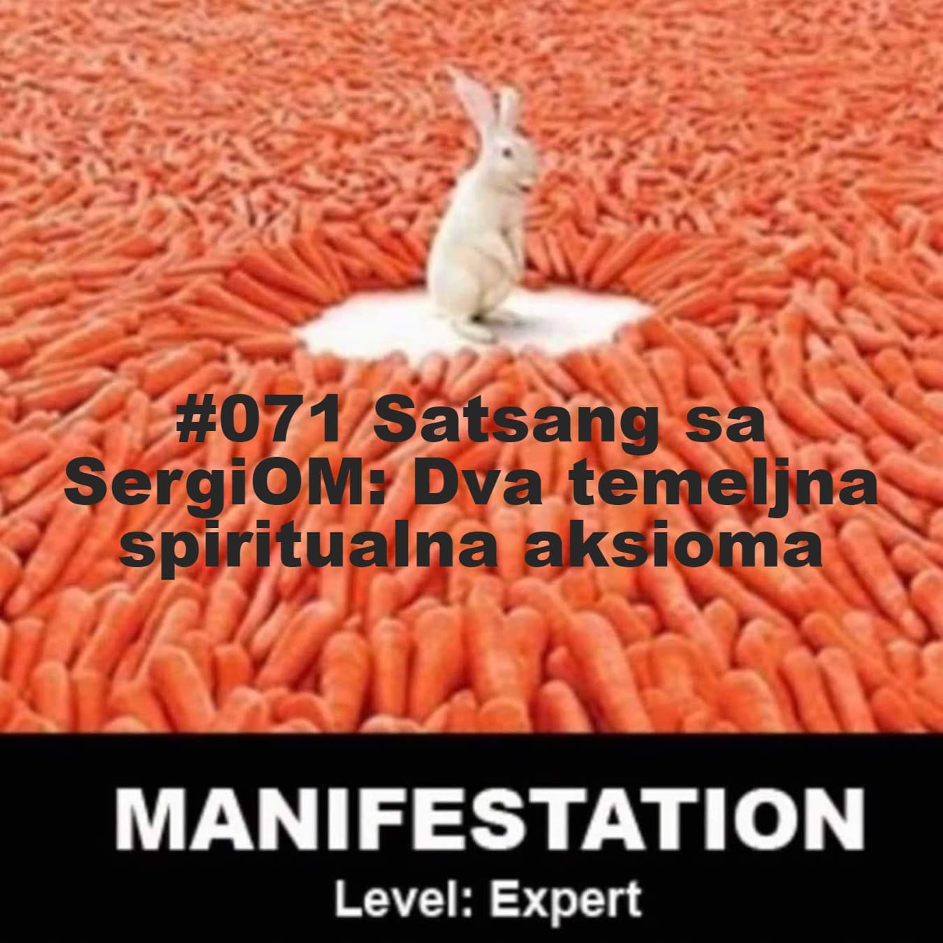 #071 Satsang sa SergiOM: Dva temeljna spiritualna aksioma