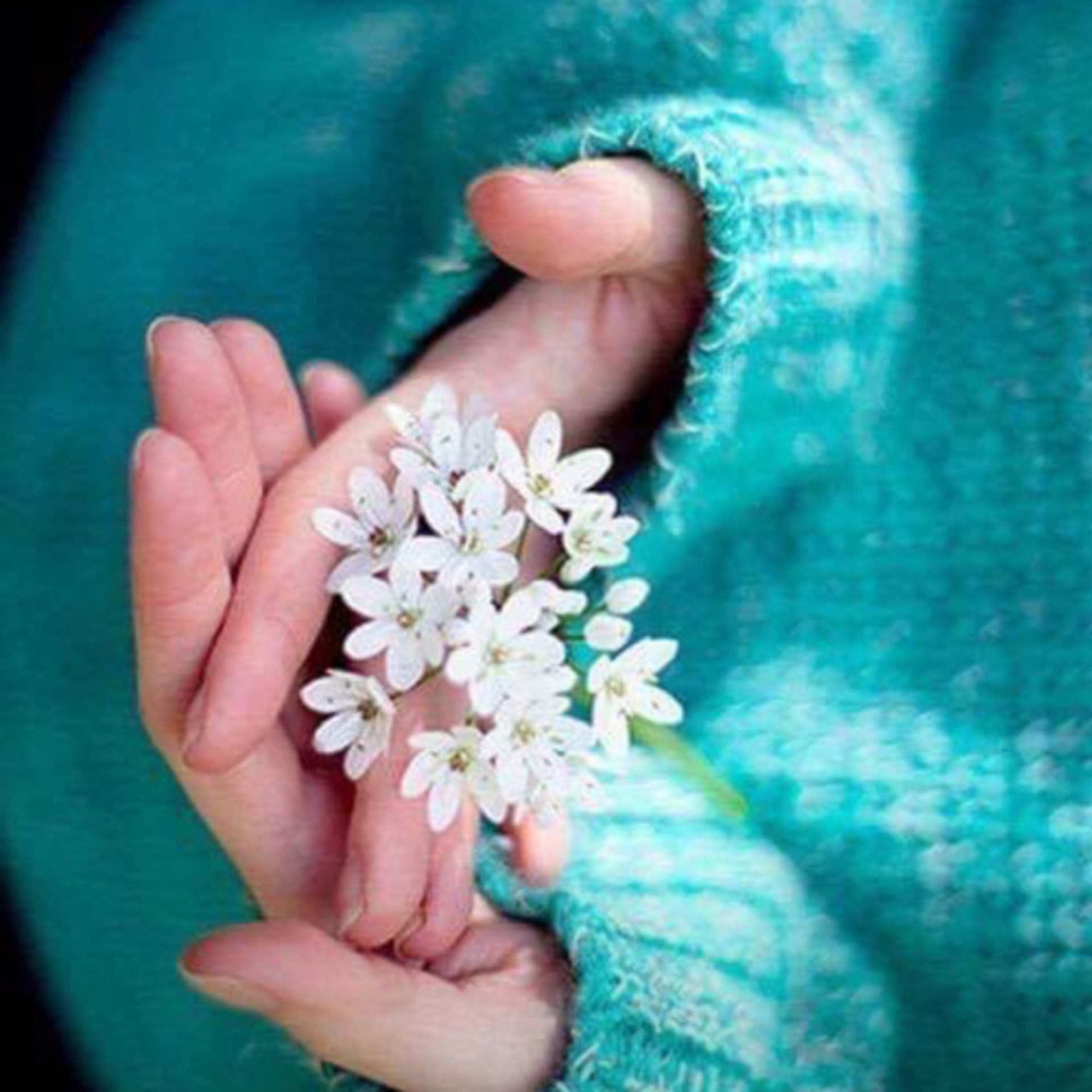 The Limbo-(6)Be yourself