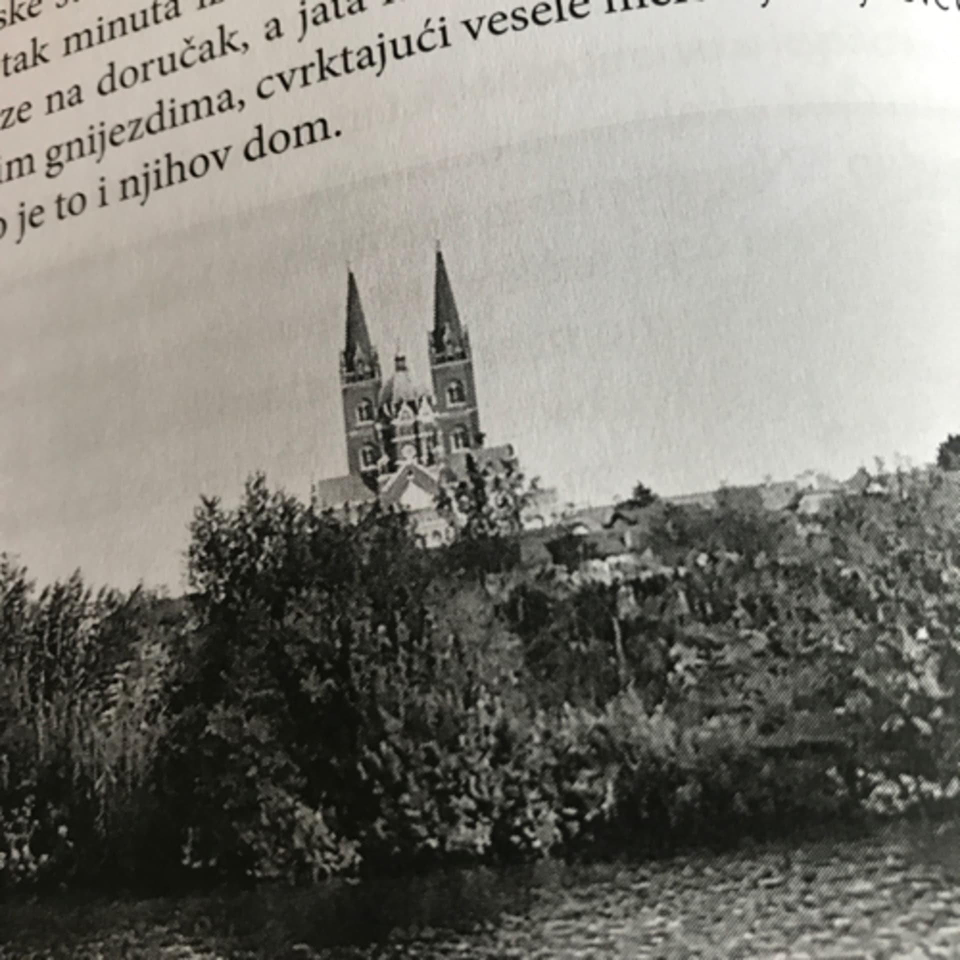 Sto godina “Vuk-asa”, a tko zna možda i puno više