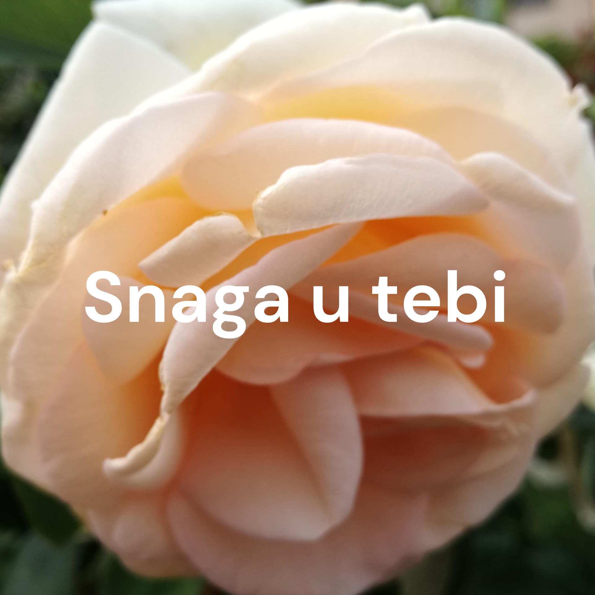 Snaga u tebi - Podcast s Rajnom Banovac