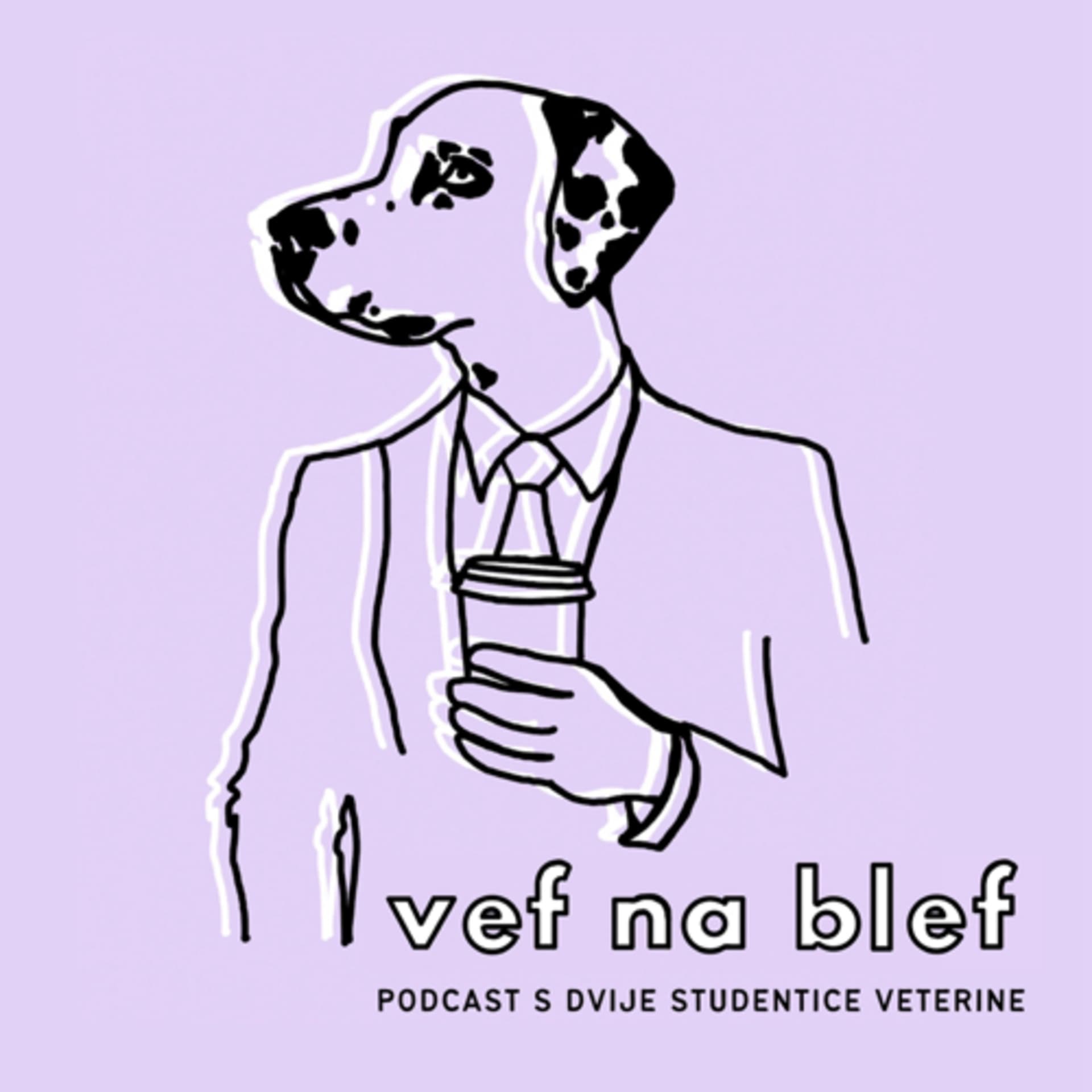 Stomatologija u veterini (feat. dr. med. vet. Mirta Vučković) VEFNABLEF EP 12