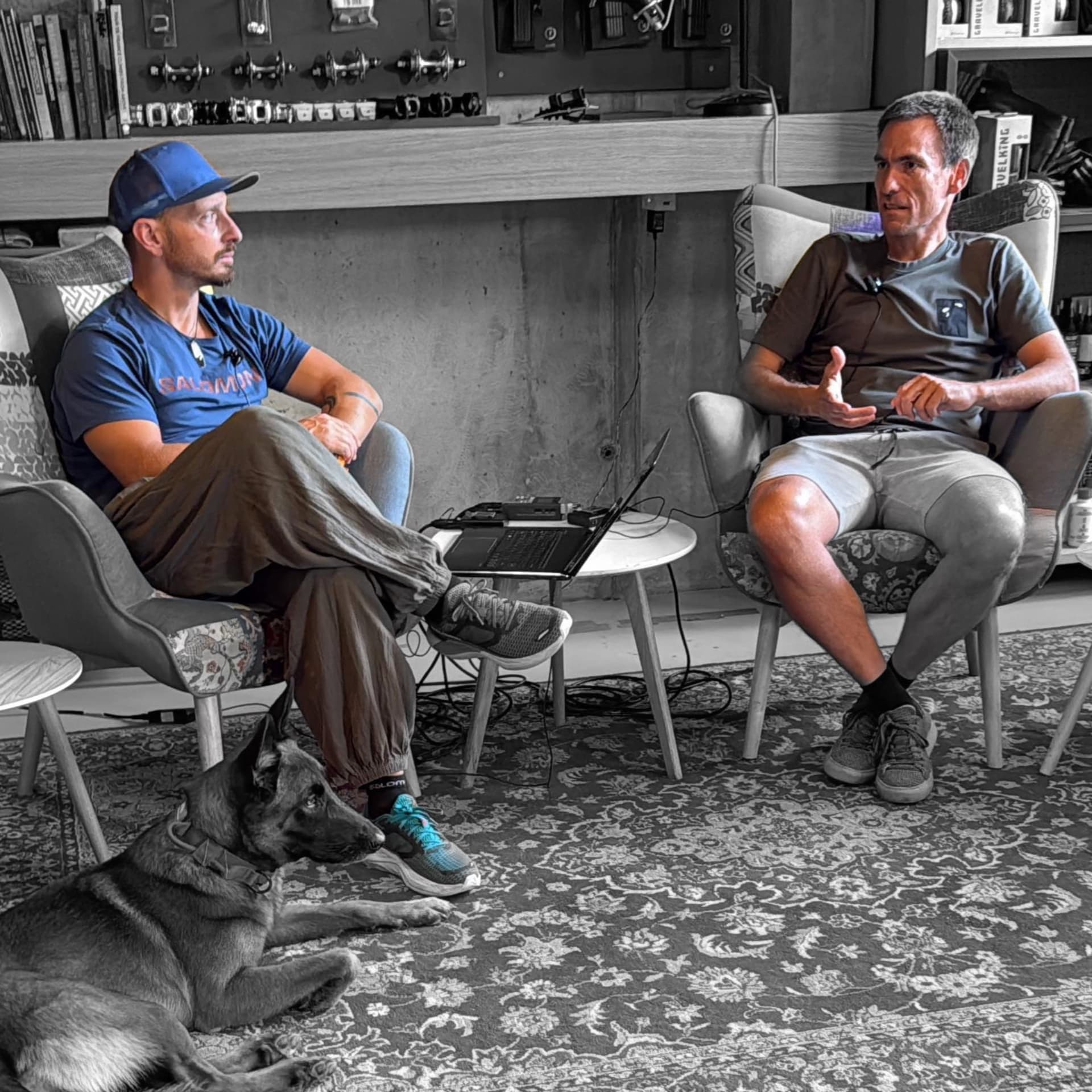 Podcast Bez pauze #85 - TalkToMeGoose sa Zvonkom Čubrićem