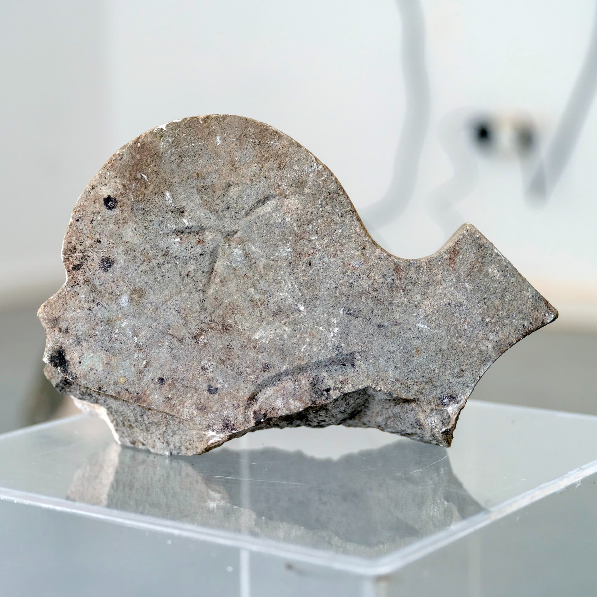 Vizkulturin podcast: Luka Tomić | Moving Particles