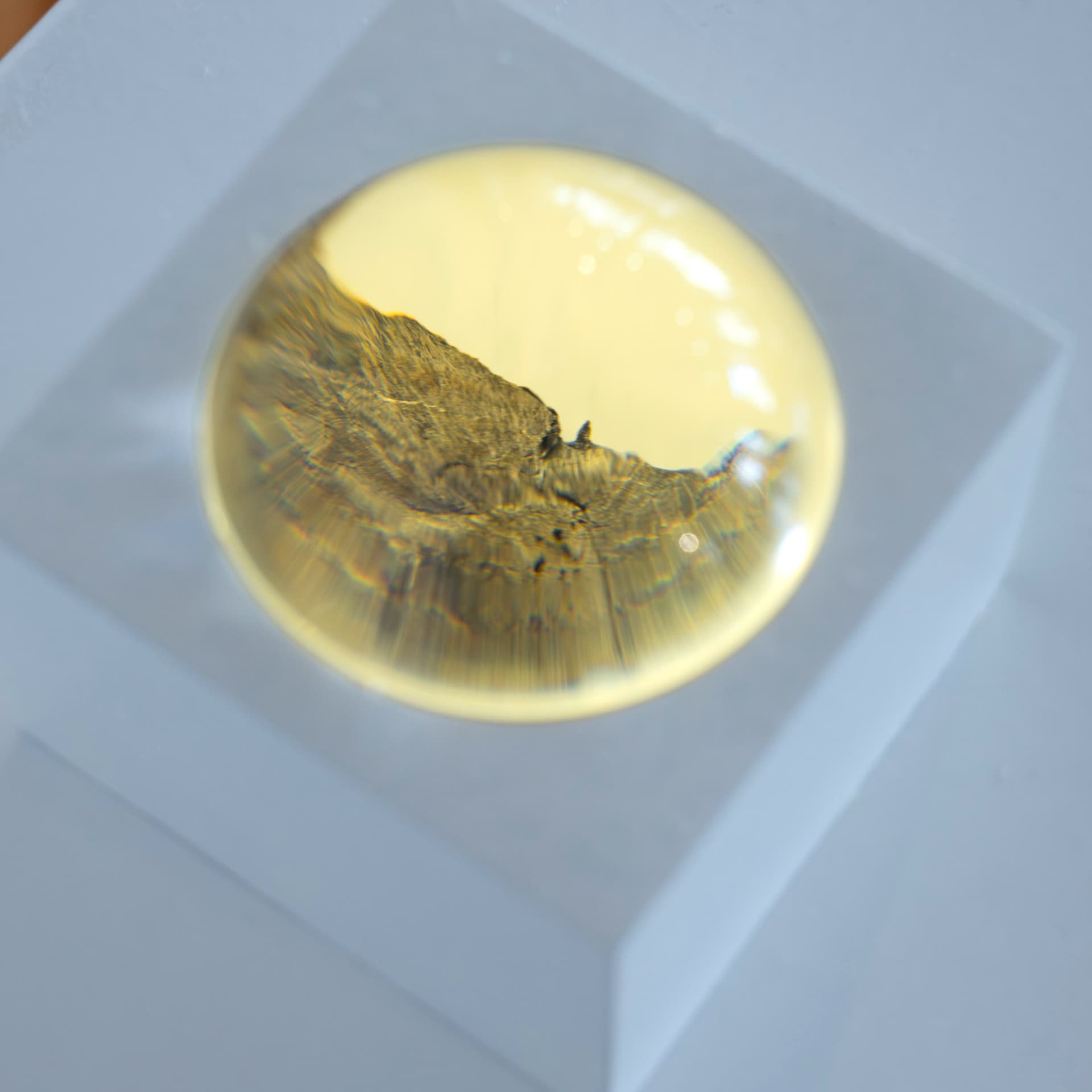 Vizkulturin podcast: Dina Rončević | Nezgodna