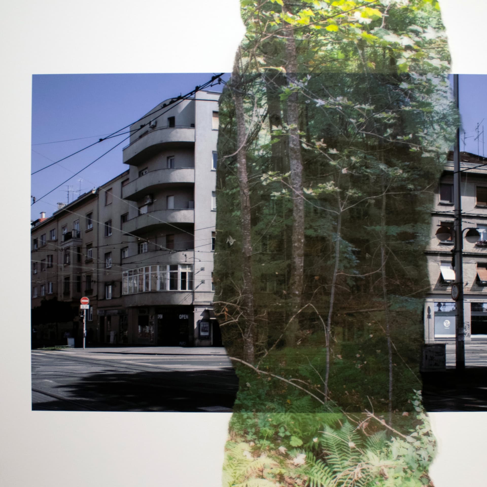 Vizkulturin podcast: Nika Radić | 1/3