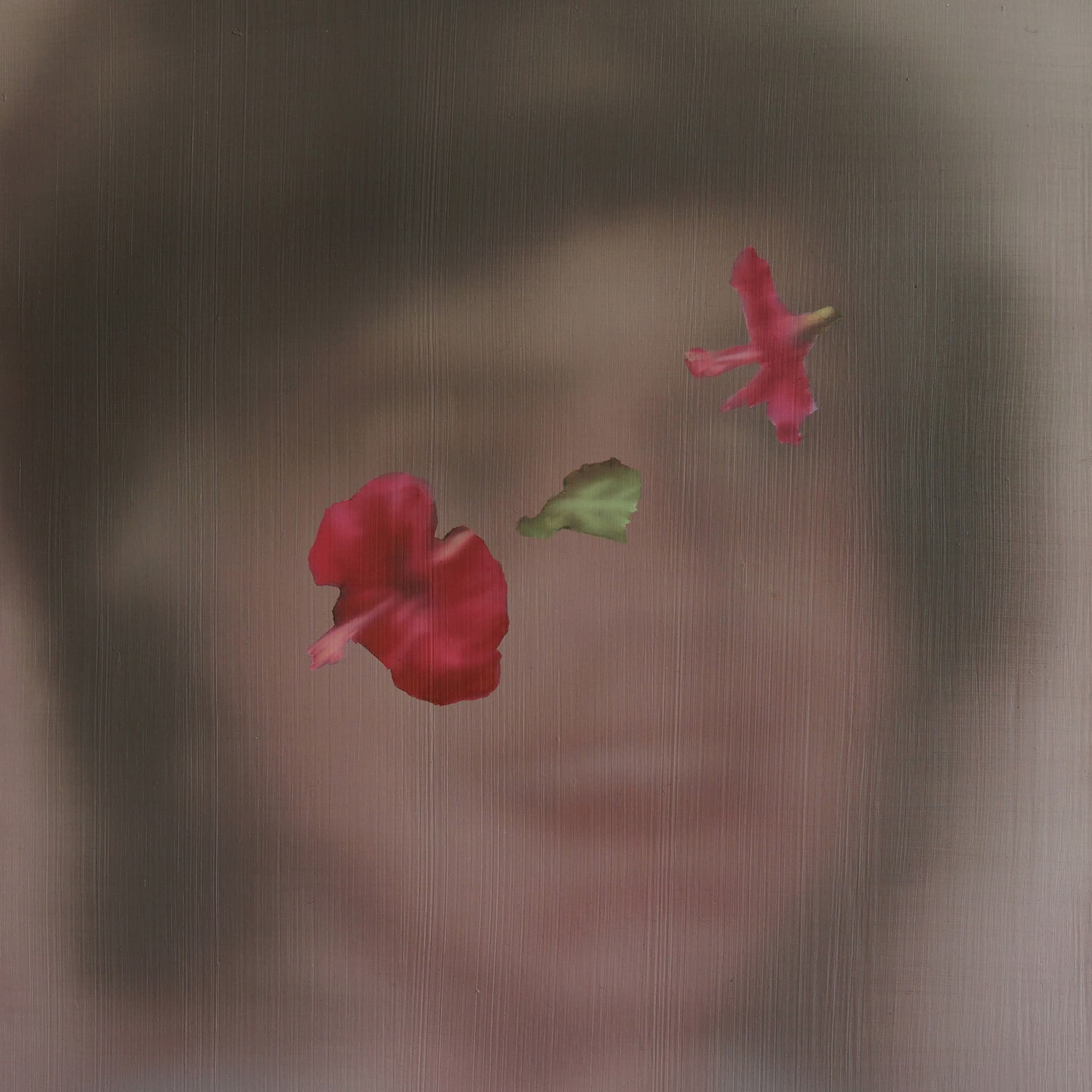 Vizkulturin podcast: Martina Grlić | Saccharine Idyll