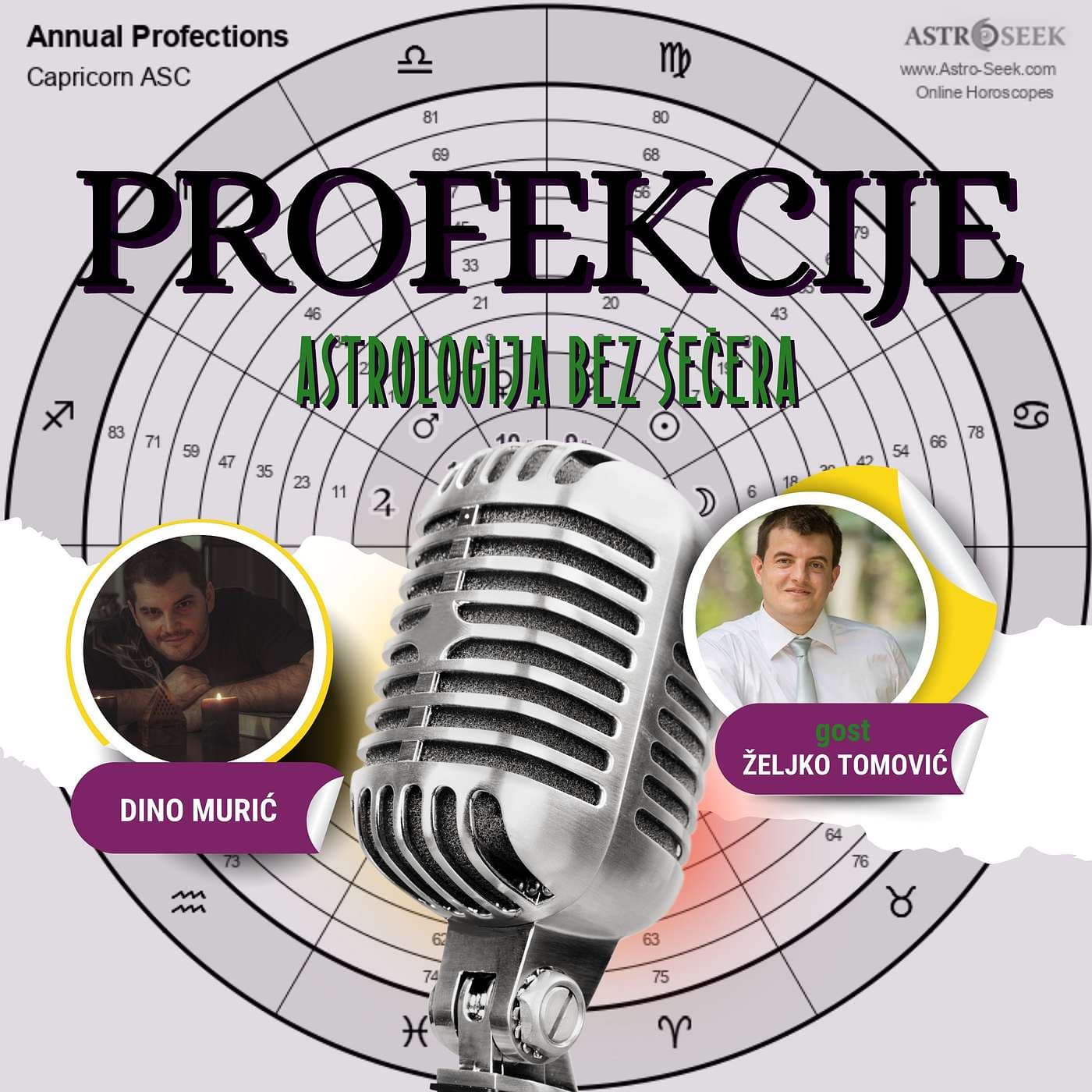Profekcije sa Željkom Tomovićem