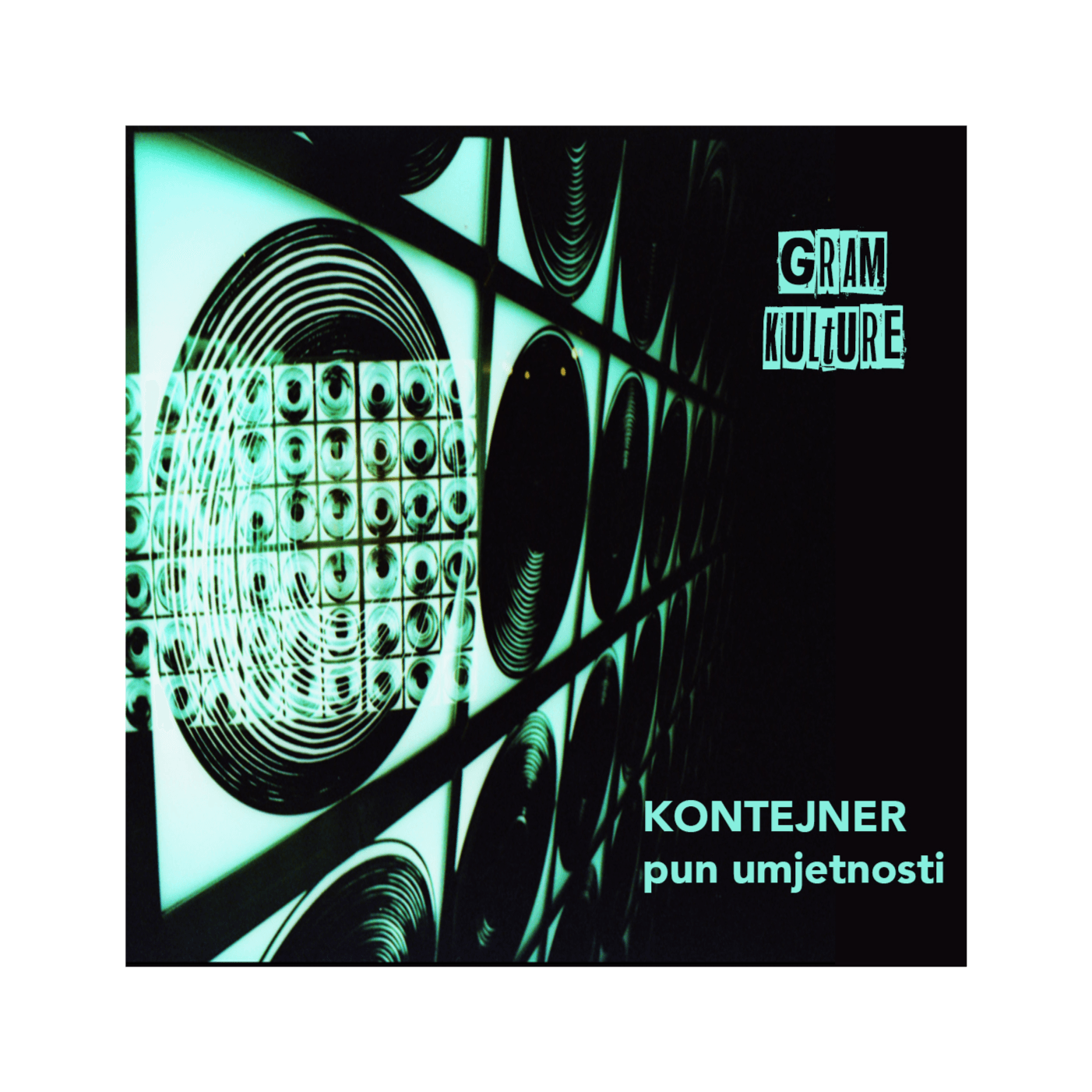 Davorka Begović - Kontejner pun umjetnosti